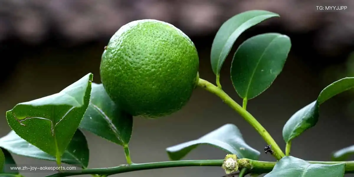 🎮电竞周边集结，释放指尖的力量！